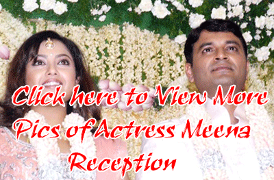 Meena Wedding Reception Marriage Reception